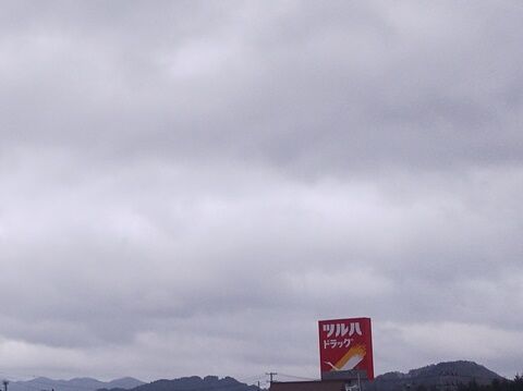 IMG_20240420_050634856