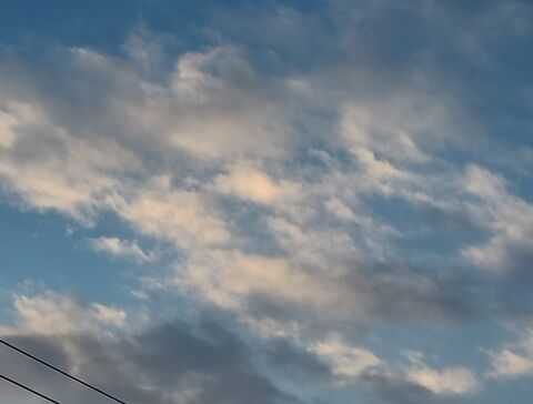 IMG_20241218_071608838_HDR