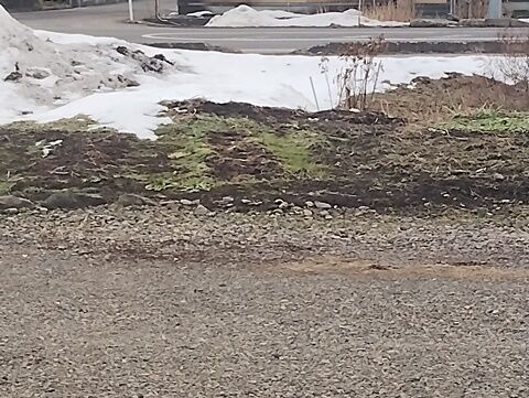 IMG_20240208_134905869