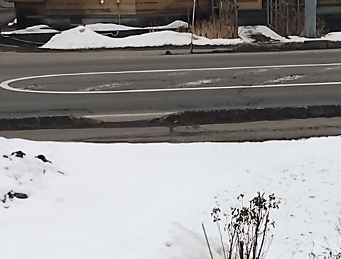 IMG_20240210_130828746