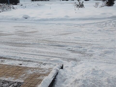 IMG_20241218_071648604