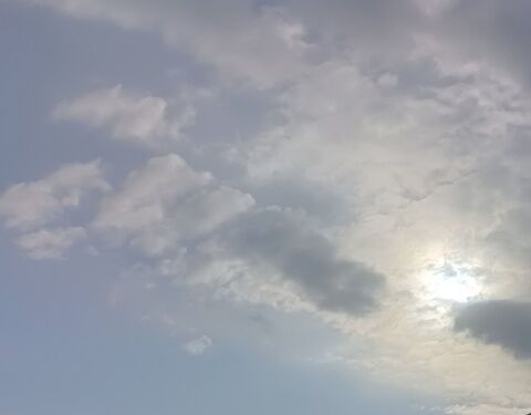 IMG20260201144959