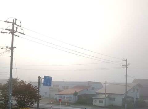 IMG20261009060947