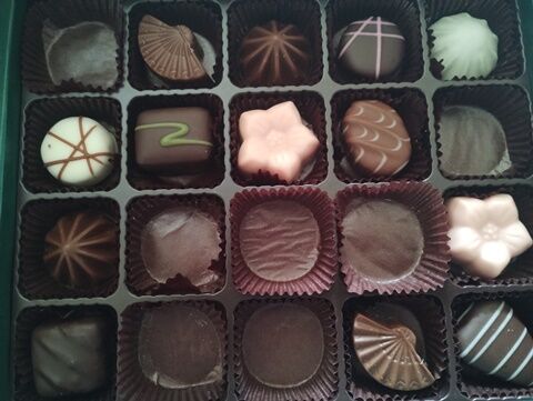 IMG_20240215_125428464