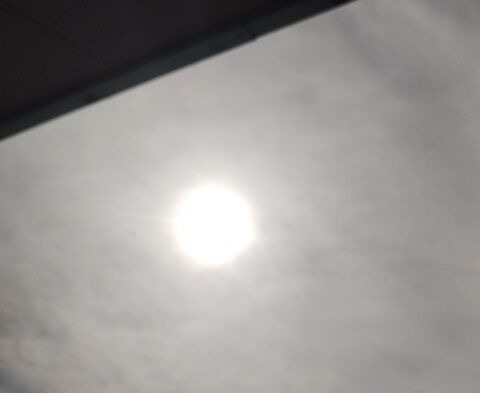 IMG_20240217_133212139_HDR