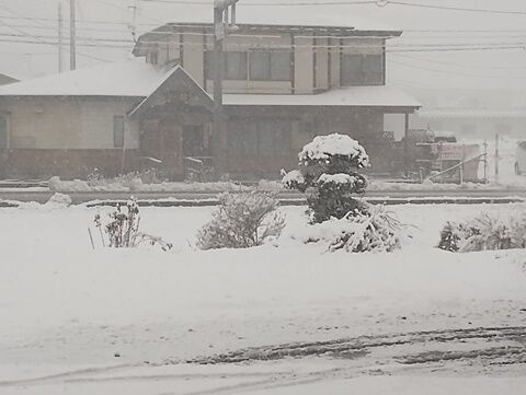 IMG_20240216_090113114