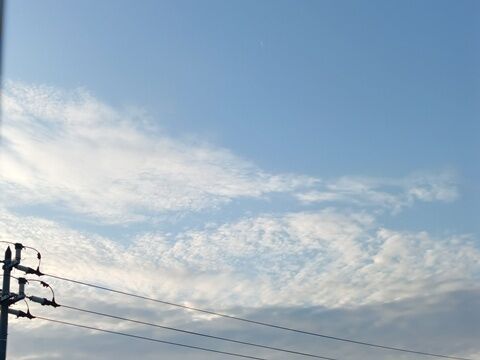 IMG20260513051057
