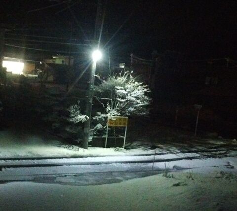 IMG_20240216_051110660