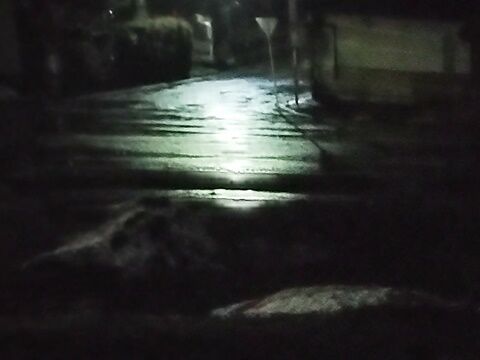 IMG_20240215_045907394