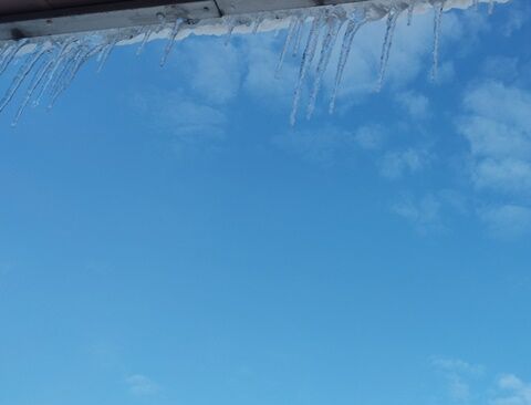 IMG_20240217_081218298