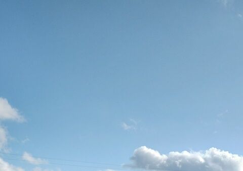 IMG_20240207_143735172_HDR