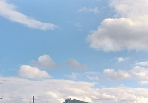 IMG_20240208_143946115_HDR