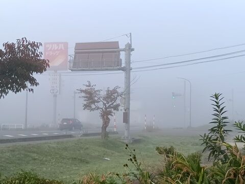 IMG20261009062245