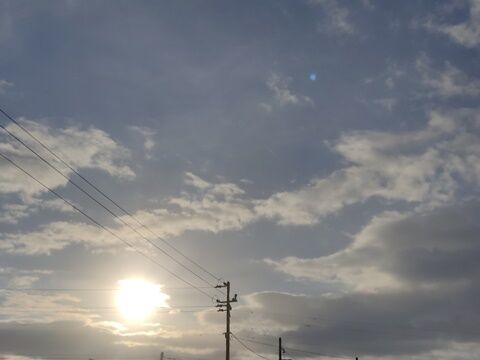 IMG_20241230_082552