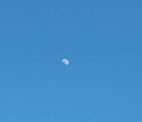 IMG_20240218_152442757