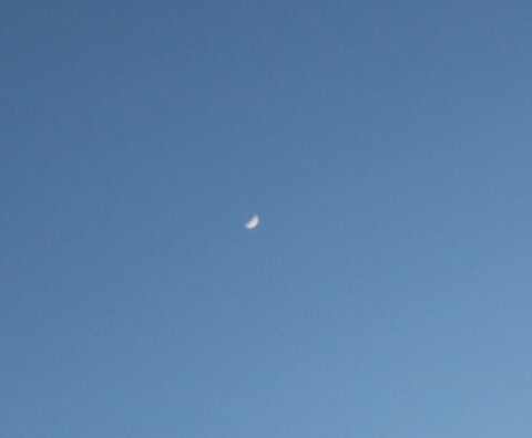 IMG_20240214_171228357