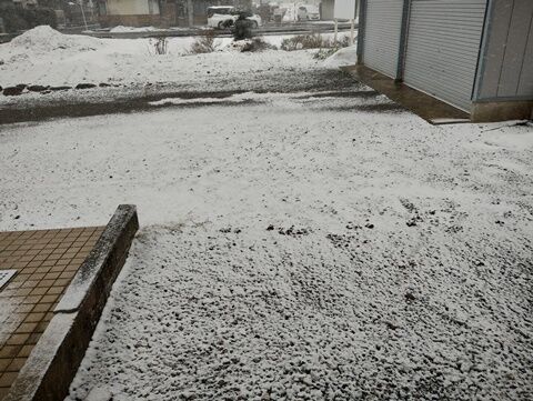 IMG_20240201_124319408_HDR