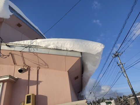 IMG_20241230_082527