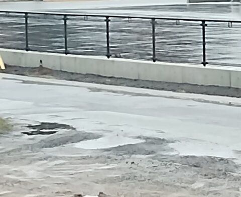 IMG_20240215_125544287