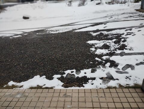 IMG_20231220_125007652_MF_PORTRAIT