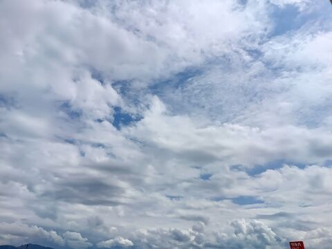 IMG20260611133727