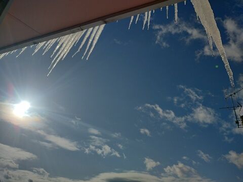 IMG_20231219_130620175_HDR