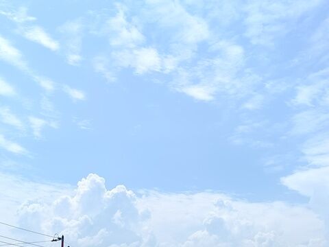 IMG20260615100825