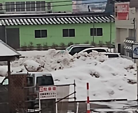 IMG_20240212_125624919