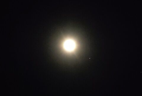 IMG_20241219_045959