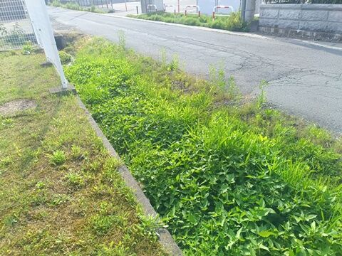IMG20260701155654