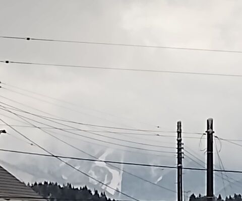 IMG_20240216_131013746