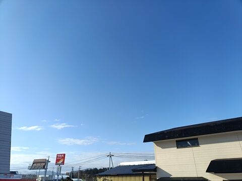 IMG20250128090146