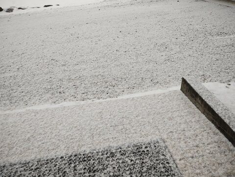 IMG_20240212_075233473