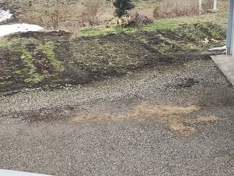 IMG_20240214_125259653