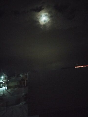 IMG_20240203_044241186