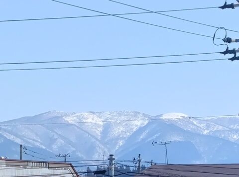 IMG20250310131322