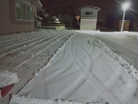 IMG_20231219_051249983