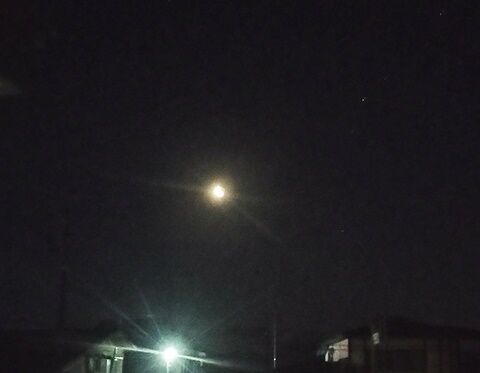 IMG_20240206_053445696