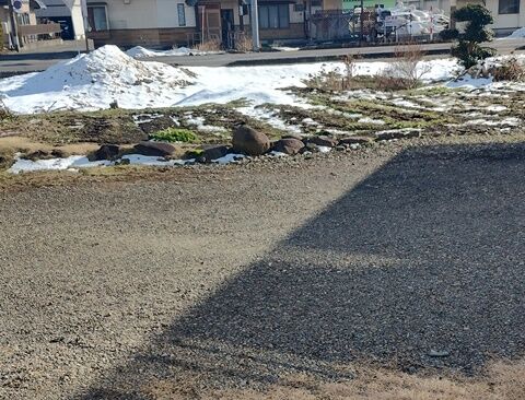 IMG_20240207_143706247_HDR