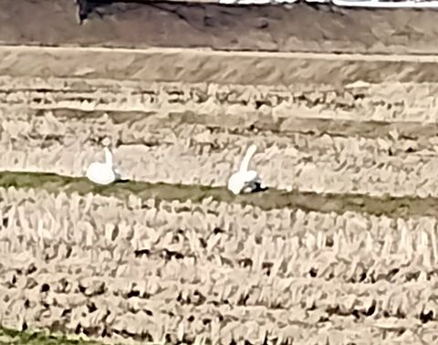 IMG_20240218_150932173