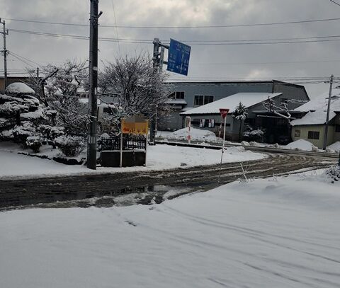 IMG_20240216_100156755_HDR