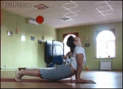 Yoga-cat-floor-is-lava