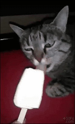tumblr_ntb78w7P9I1tlb56zo1_400