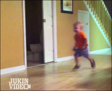 Cat-drop-kicks-kid