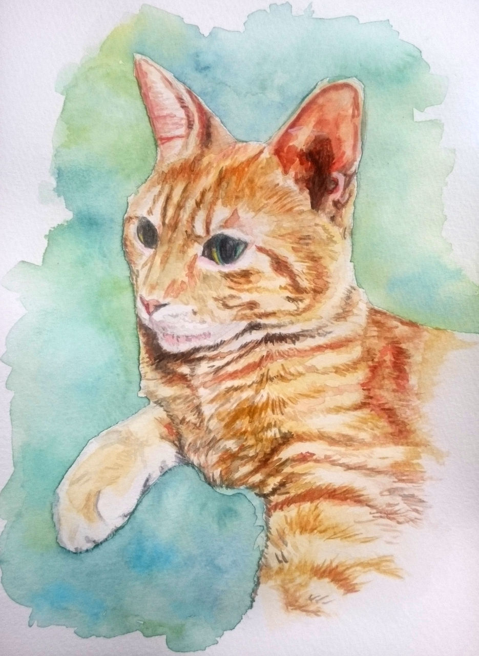 猫絵 ちびたくんを描いてみた 水彩画 ぬこモフ