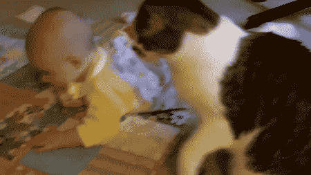 爆笑 ほっこり 猫と赤ちゃん 猫gif動画7枚 ぬこモフ 爆笑 ほっこり 猫と赤ちゃん 猫gif動画7枚 ぬこモフ