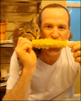 eins-gif312