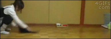 Spinning-sliding-cat