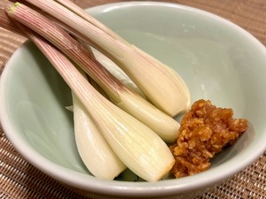 新鮮なエシャレットに味噌をつけて