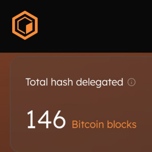 146 Bitcoin Blocks